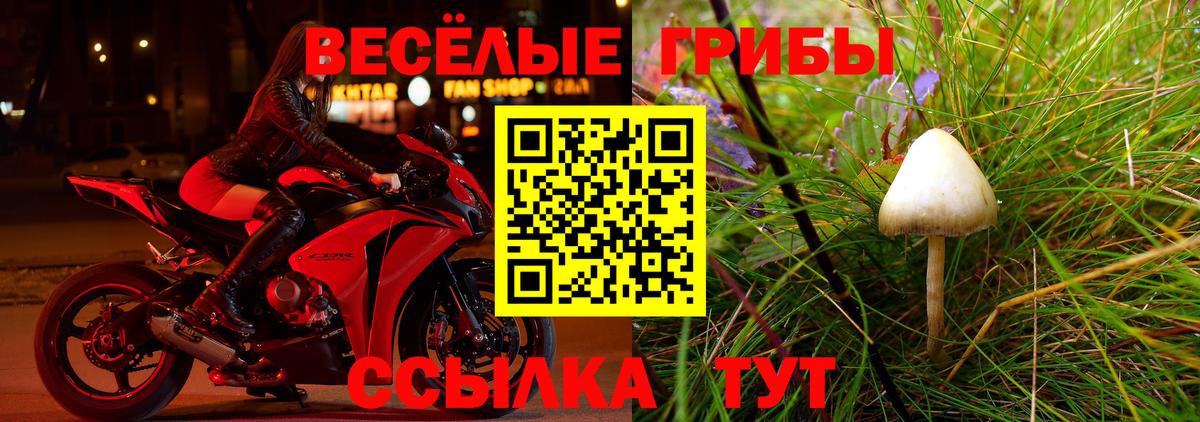Псилоцибиновые грибы мухоморы Ессентуки